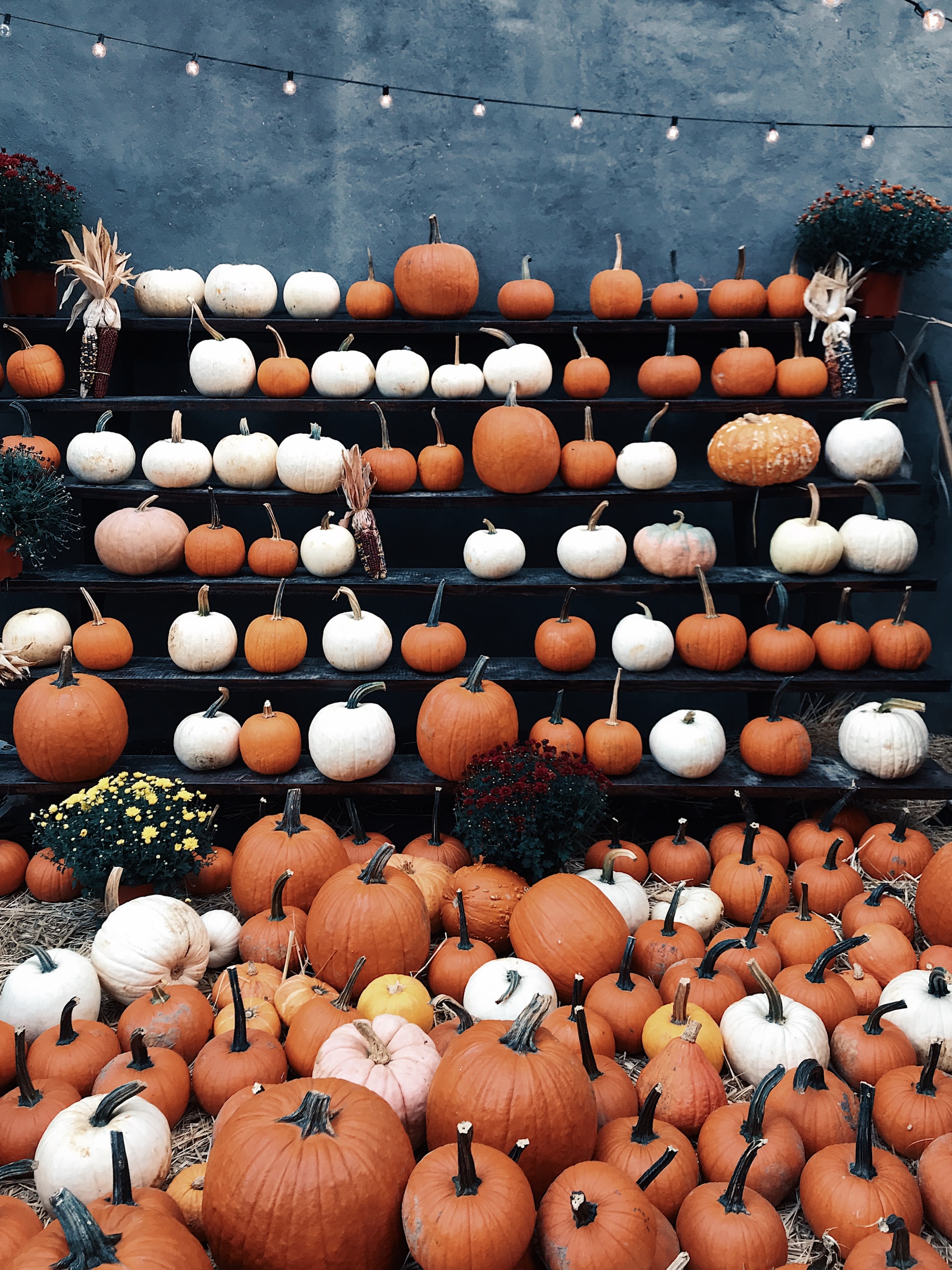 jon-tyson-DwQVcudRcS8-unsplash Stake of pumpkins