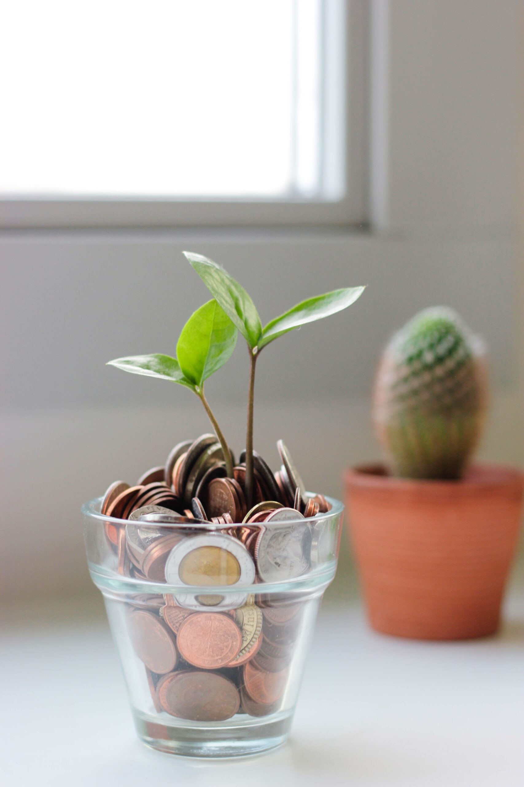micheile-dot-com-pLnaCZiwpIk-unsplash plant out of coins vert