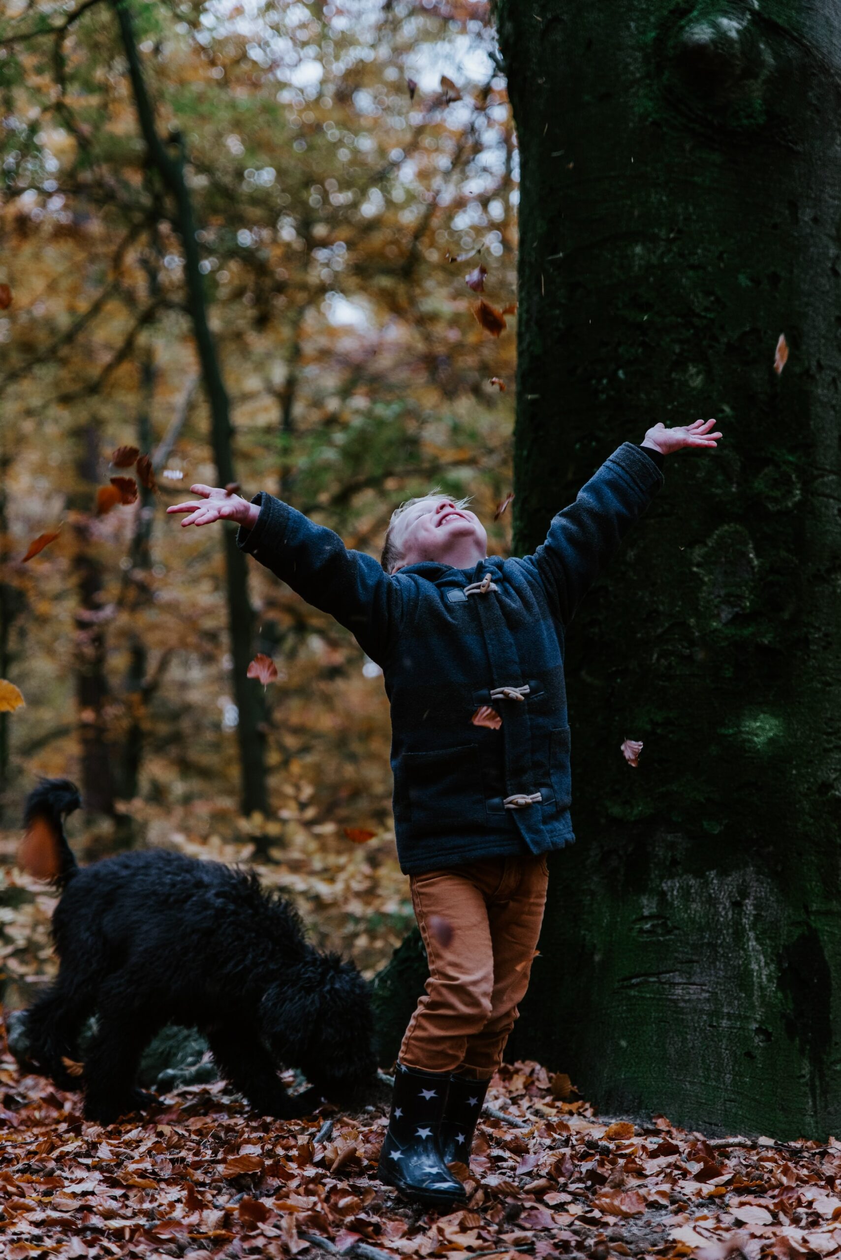sander-weeteling-swE6Cp7OQM4-unsplash child throwing leaves in air